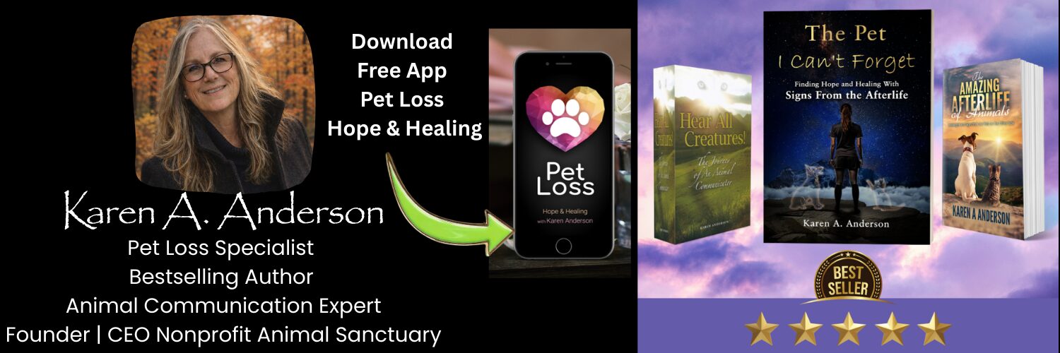 The Pet I Can’t Forget The Amazing Afterlife of Animals Hear All Creatures